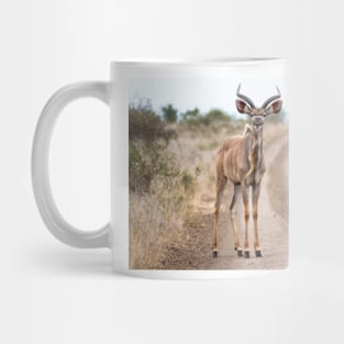 Kudu Antelope on Road - Krüger National Park, South Africa Mug